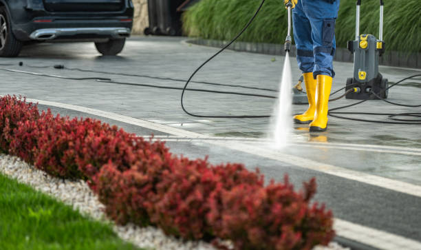 Best Local Pressure Washing Services  in Whittier, CA